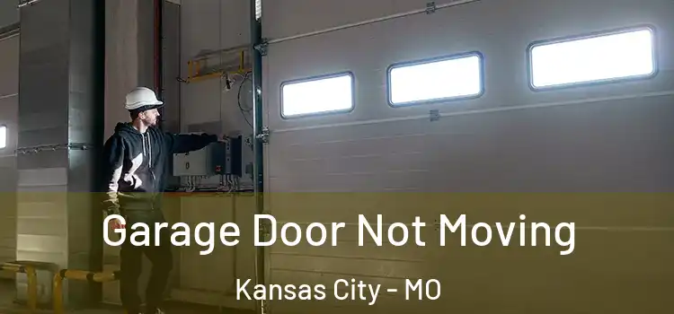  Garage Door Not Moving Kansas City - MO