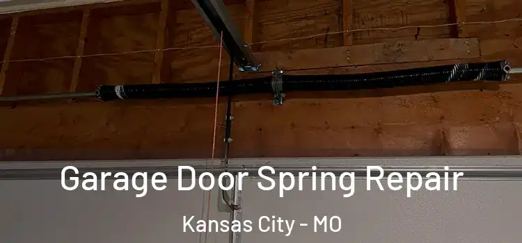  Garage Door Spring Repair Kansas City - MO