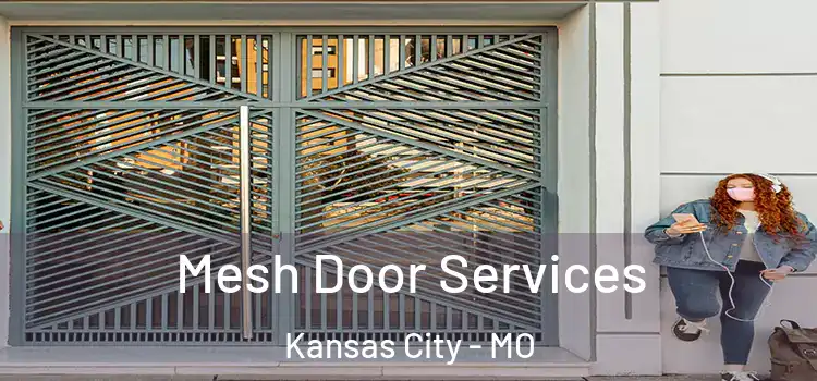 Mesh Door Services Kansas City - MO